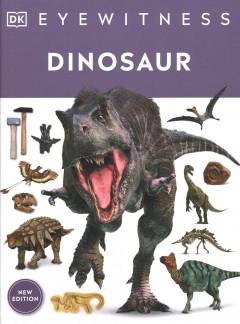 Dinosaur Book cover