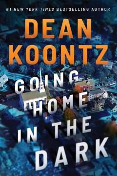 Going home in the dark Book cover