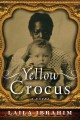 Go to record Yellow crocus