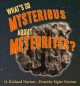 Go to record What's so mysterious about meteorites?