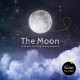 Go to record The moon