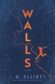 Go to record Walls
