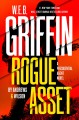 Go to record Rogue asset