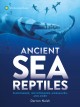 Go to record Ancient sea reptiles : plesiosaurs, ichthyosaurs, mosasaur...