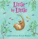Go to record Little by little