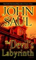 Go to record The devil's labyrinth : a novel