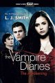Go to record The vampire diaries : the awakening, volume I