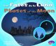 Go to record Las fases de la luna